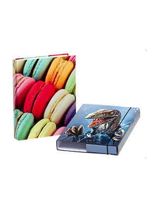 Sammelmappen / Heftbox / Ringbuch